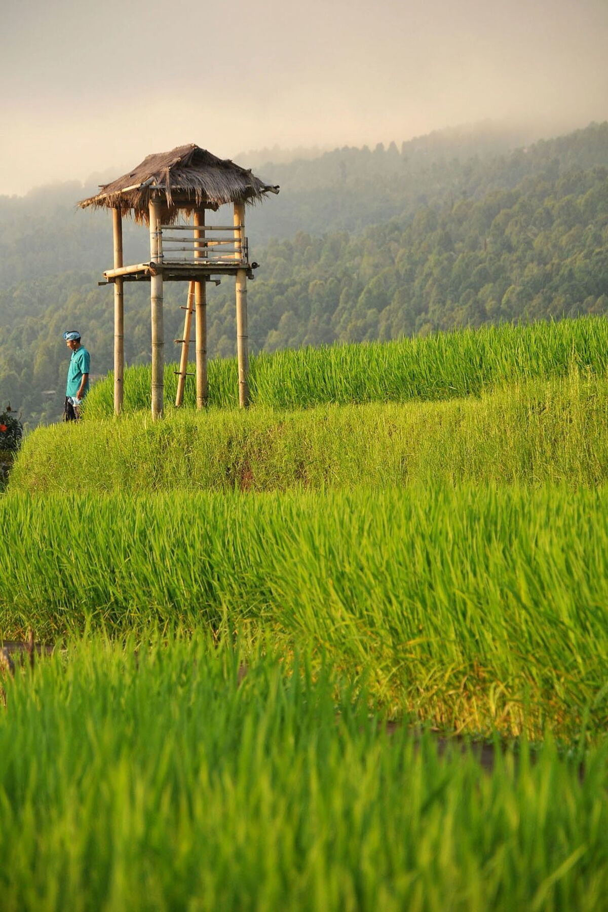 Puri Lumbung Cottages Gobleg  Eksteriør billede